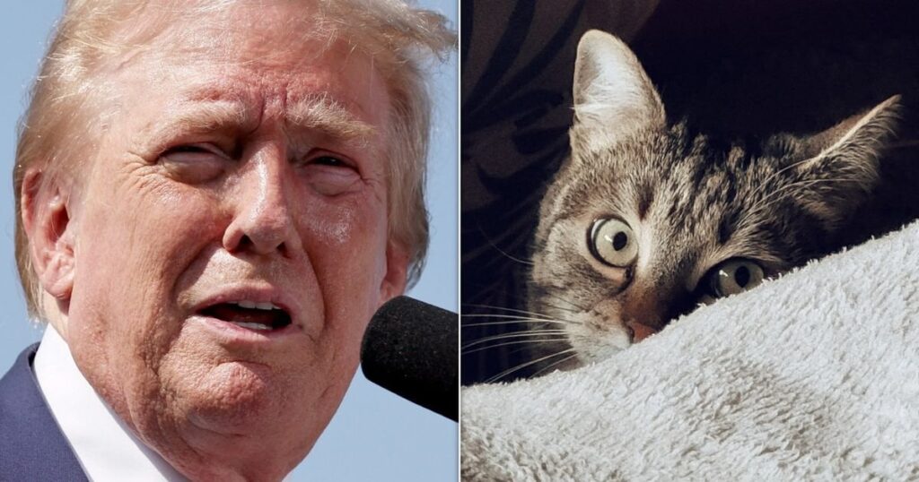 猫を食べる噂を煽った警察の報告書を出したトランプ支持者、数日後に地下室でペットを発見：WSJ