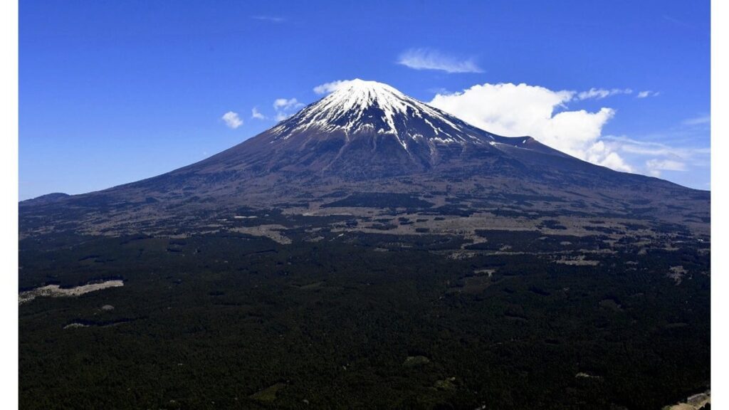 青木ヶ原樹海での自殺抑止、夜間パトロールにドローン導入 - 上空から声がけ、警備員派遣も ｜ 山形