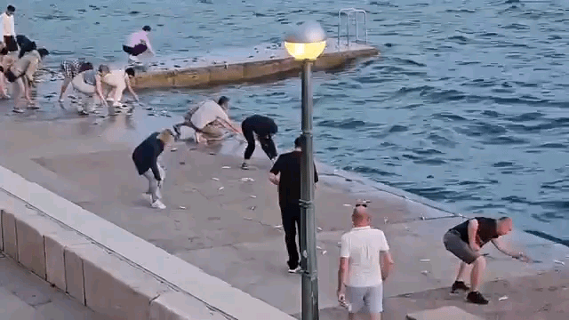 人間が魚を海に返す