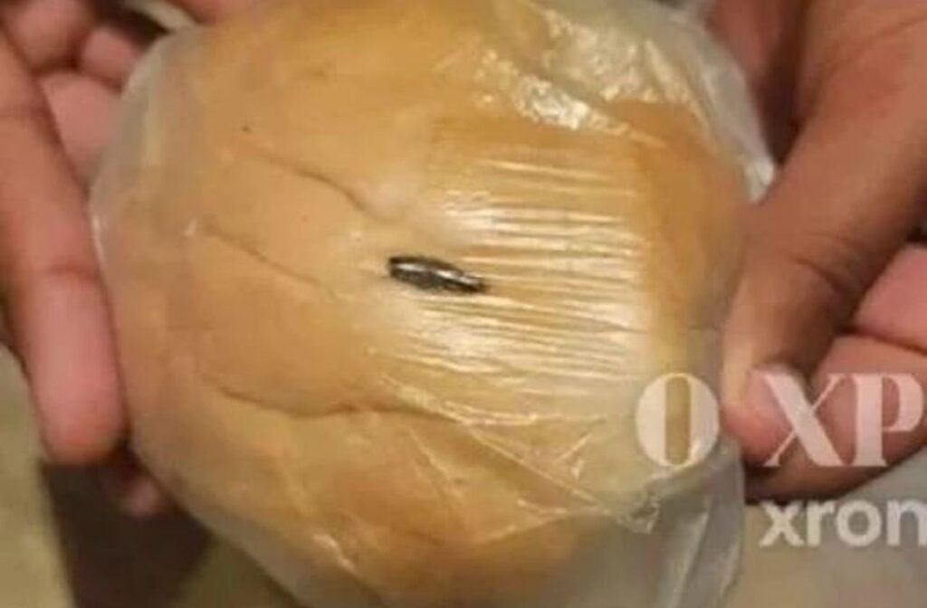 コモティーニ: 生徒が学校給食でゴキブリを見つけた