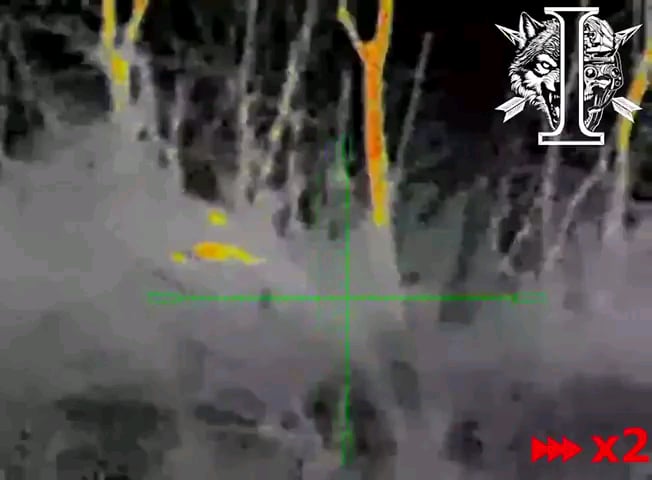 「ウクライナ連隊」（第8独立特殊部隊旅団）のウクライナ人狙撃兵が夜間にロシア兵を射殺した。クルスク地域。2024年9月。