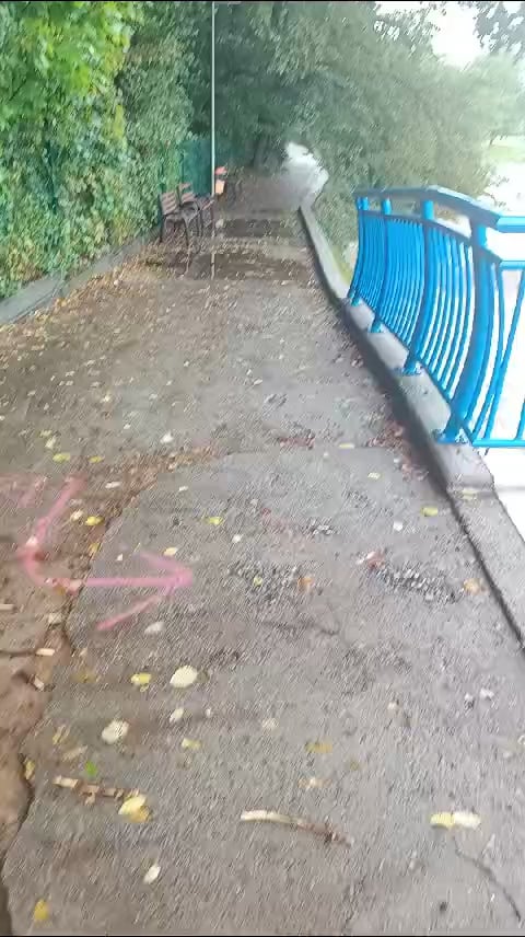 朝のヴィスワ川