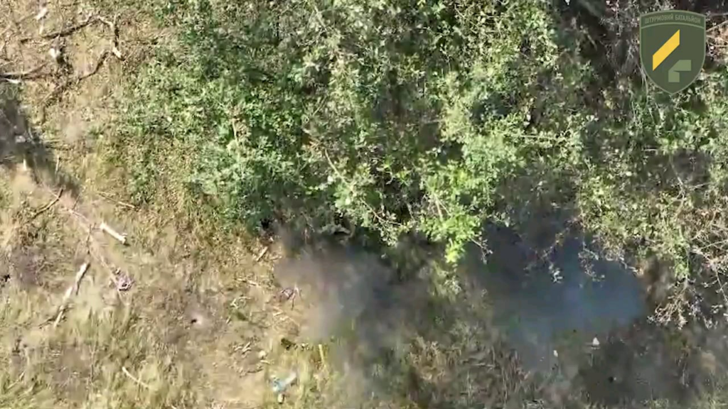 残忍な映像：ウクライナ第92突撃旅団第4大隊の無人航空機チームがドローンから投下した弾薬を使ってロシア歩兵を攻撃し、頭部を撃つなど正確な攻撃を数回行った。ルイプジ地域（ハリコフ地域）、2024年9月。