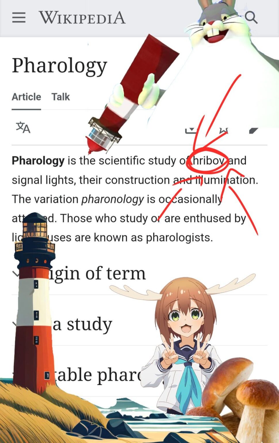 キノコ、公式だよ