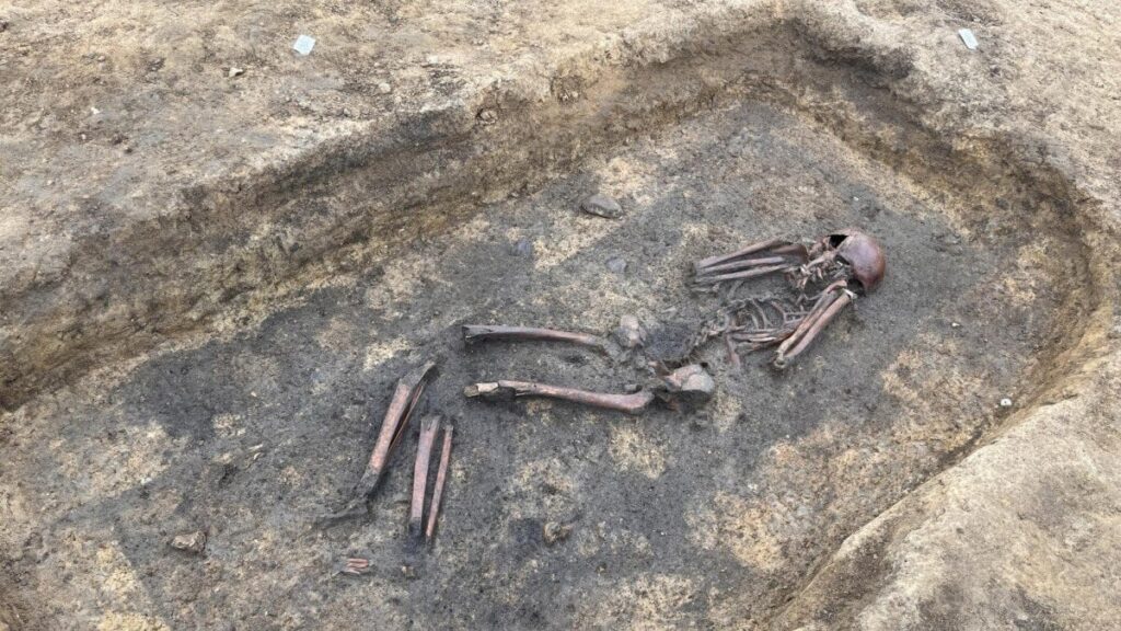 「巨大だ」：オーデンセで発見された、保存状態の良い大規模な埋葬地（ヴァイキング）