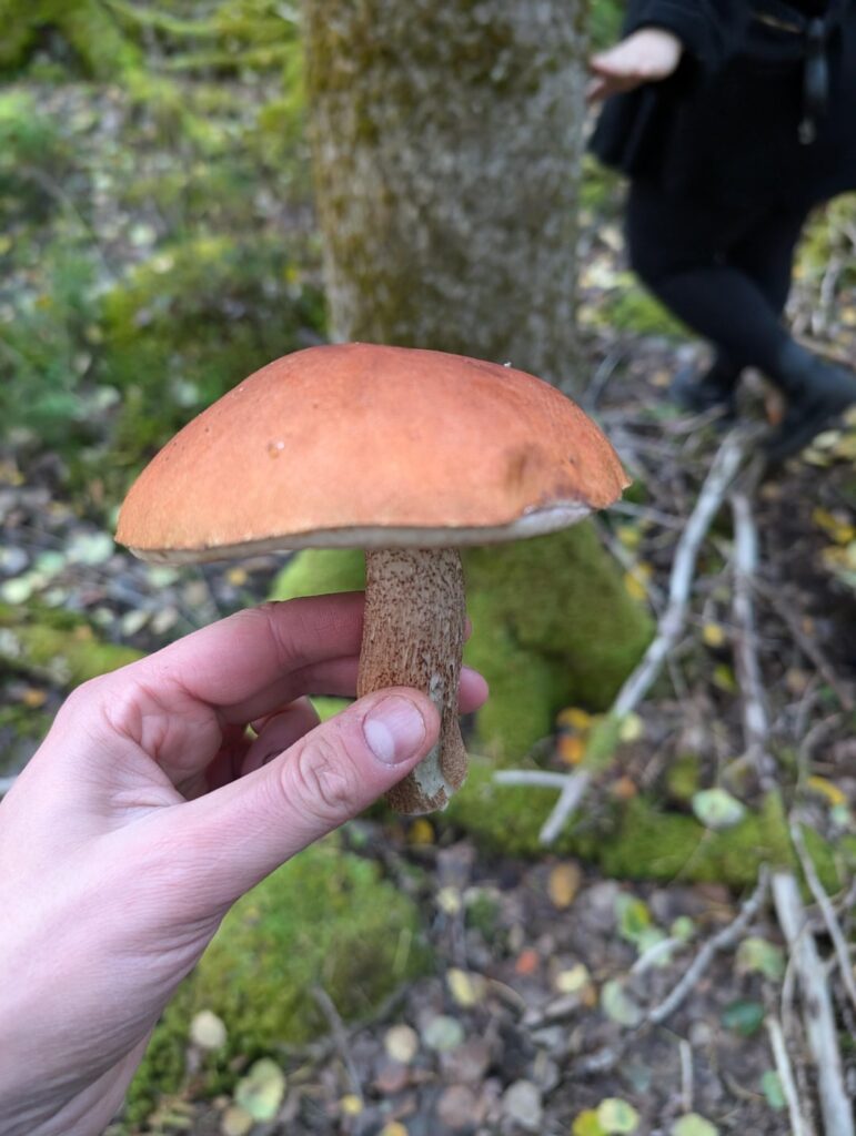 カール・ヨハンか、それとも死ぬのか？