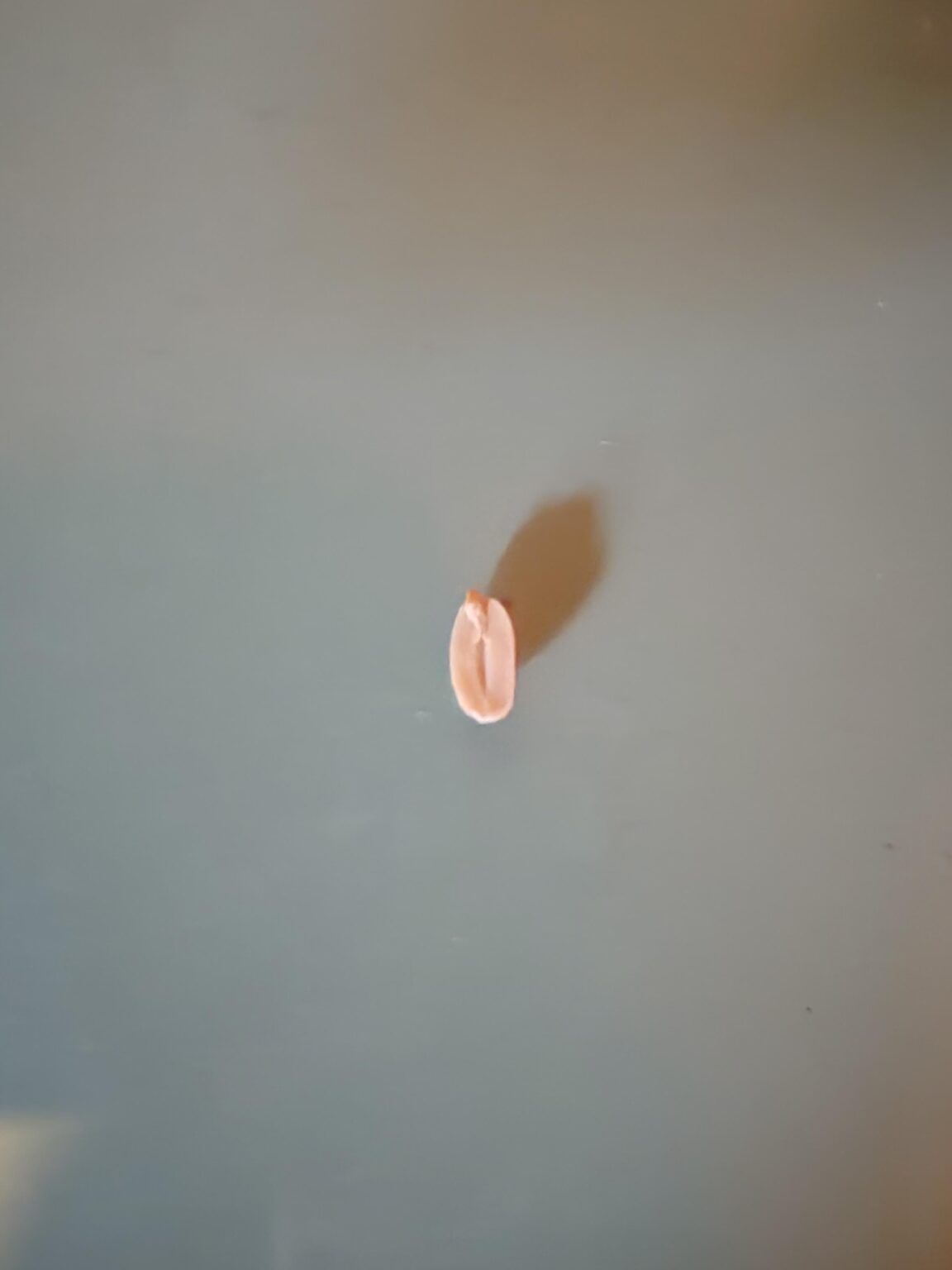 どこを見ても、すべてが彼女を思い出させます 😭