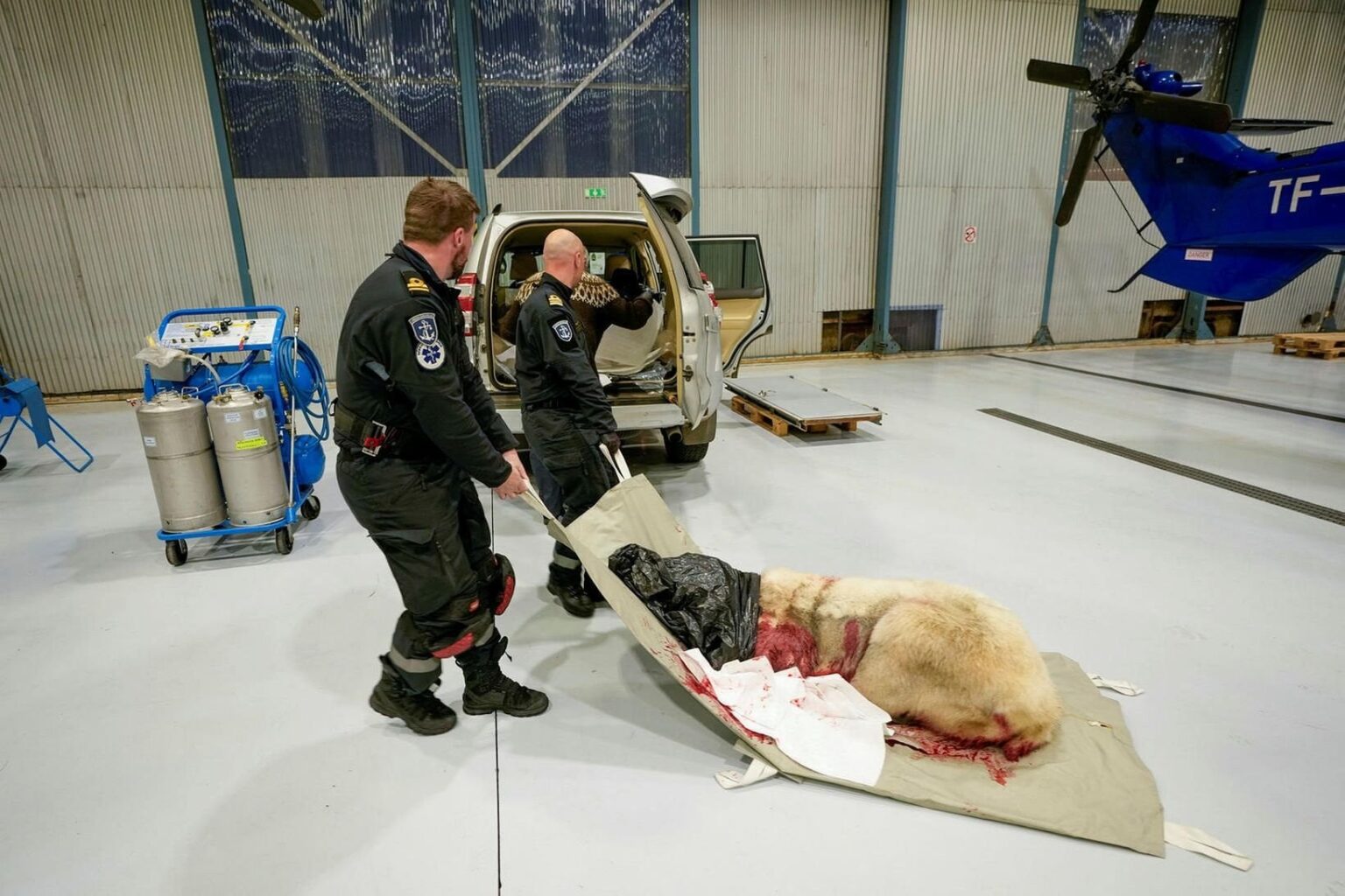 グリーンランド人はクマの帰還を望まなかったMBL