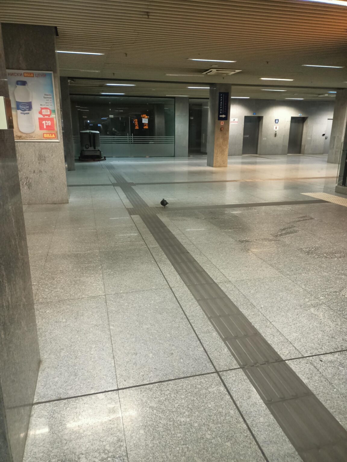 中央駅の地下ハトやブルガリア各地の同様の動物については十分に語られていません。