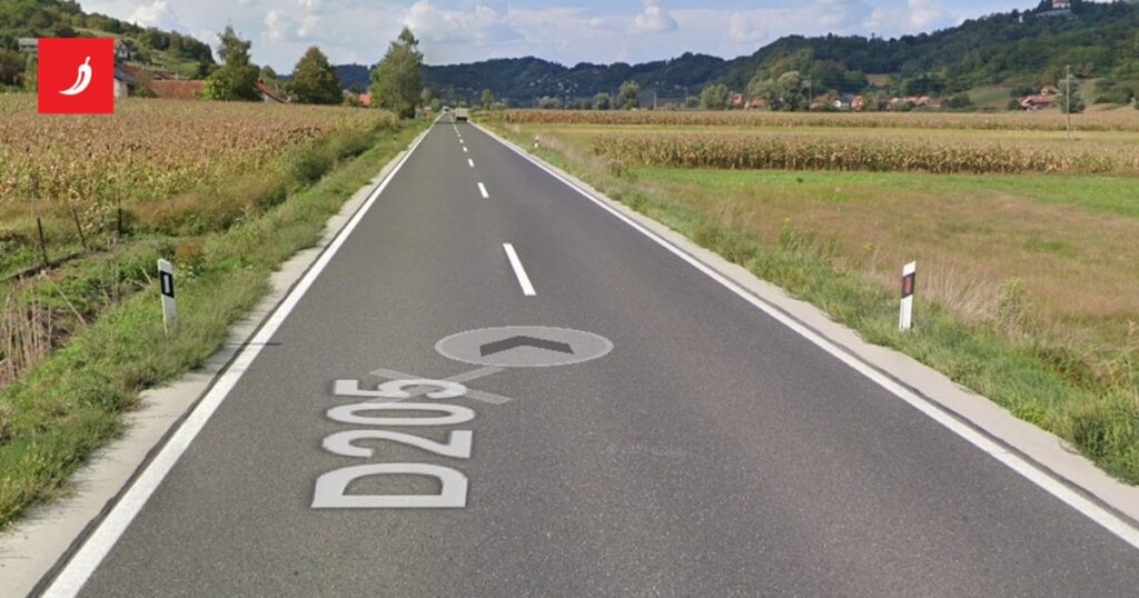 ザゴリエの事故詳細：酔ったスロベニア人がフィリピン人を殺害し逃走
