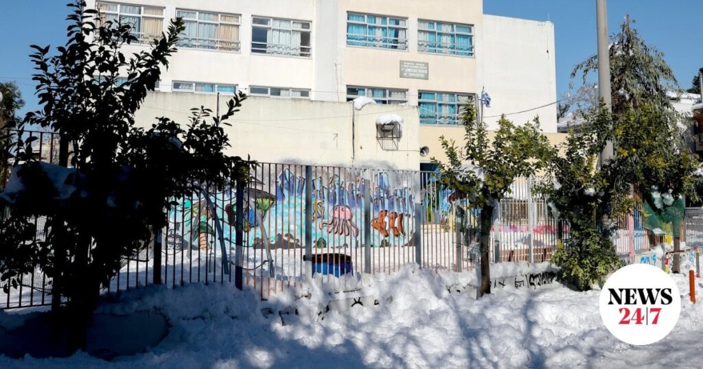 エルミオニ・アルゴリダス：学校内でナイフで12歳を襲撃