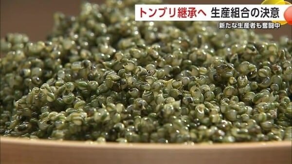 “畑のキャビア”トンブリの生産技術継承へ 生産組合の決意のもと新たな担い手が奮闘中 秋田・大館市