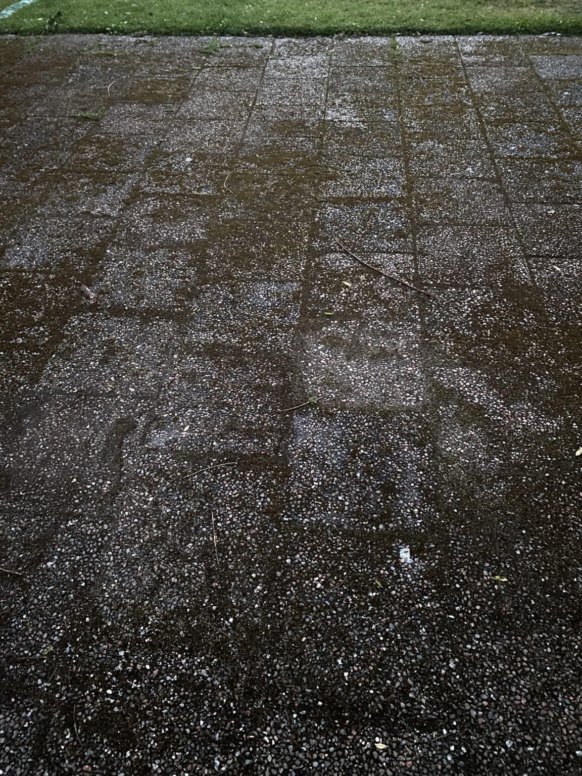 コケを除去するための最良のヒントは何ですか？