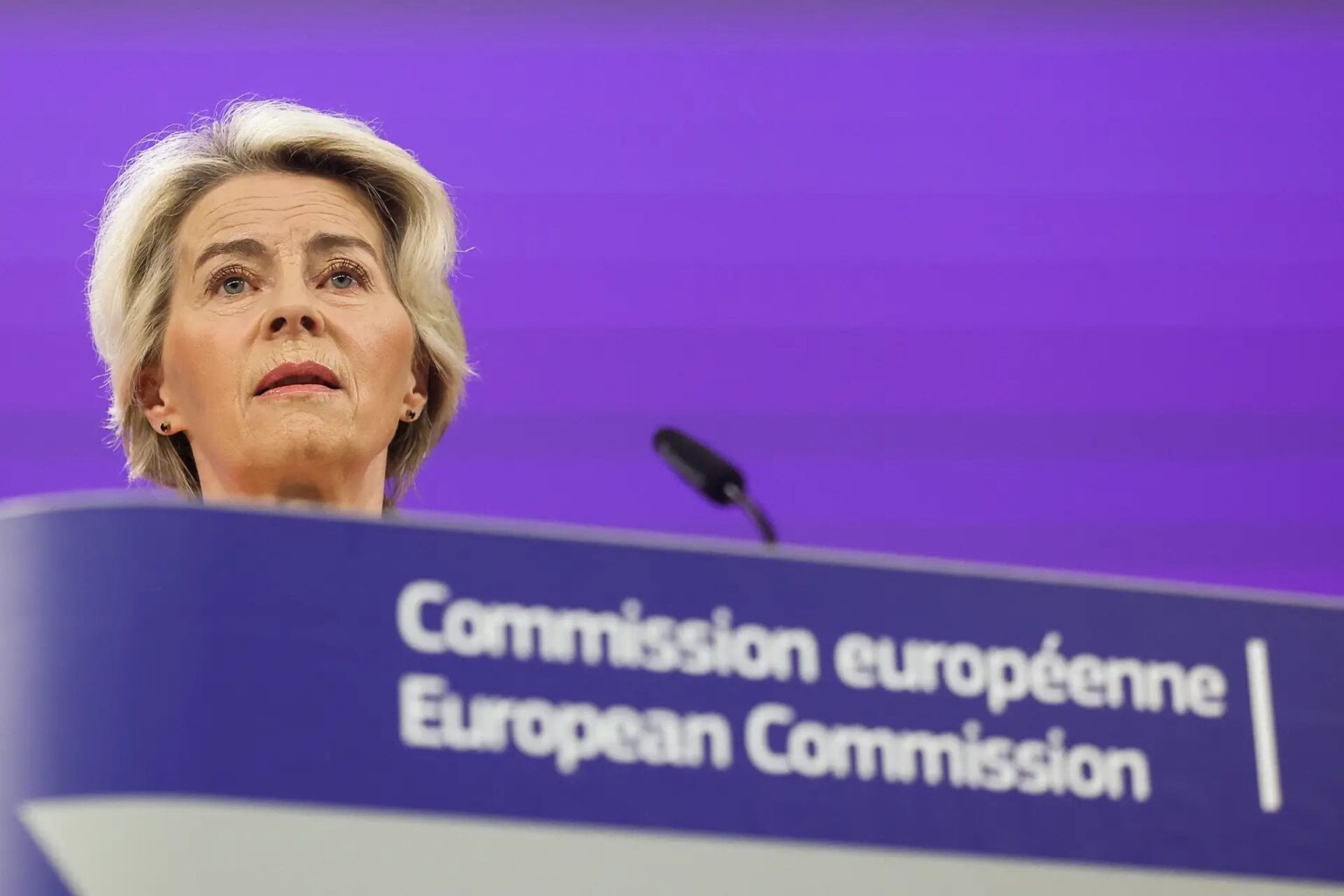 EU、ポルトガルに「協力」して消火活動に8機の飛行機を派遣