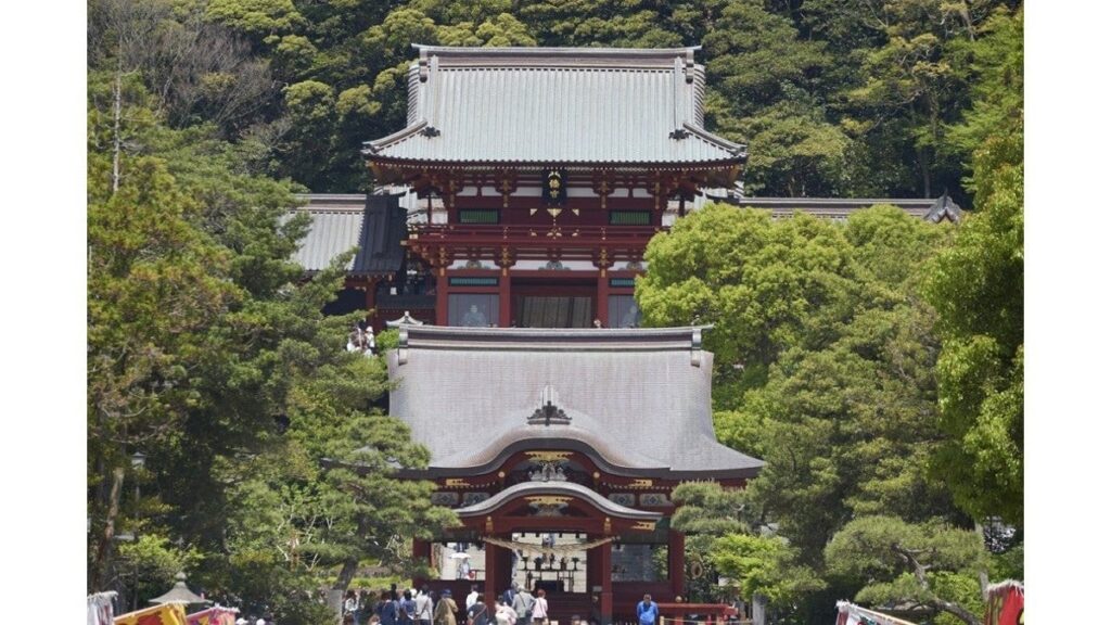鎌倉・鶴岡八幡宮、流鏑馬の練習中に落馬した男性が重体…１６日の神事を中止