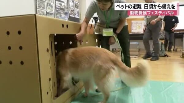 「簡易ケージにスムーズに入れるよう訓練を」 動物愛護週間に合わせ災害時のペットの避難を考える 人も動物も備えが必要