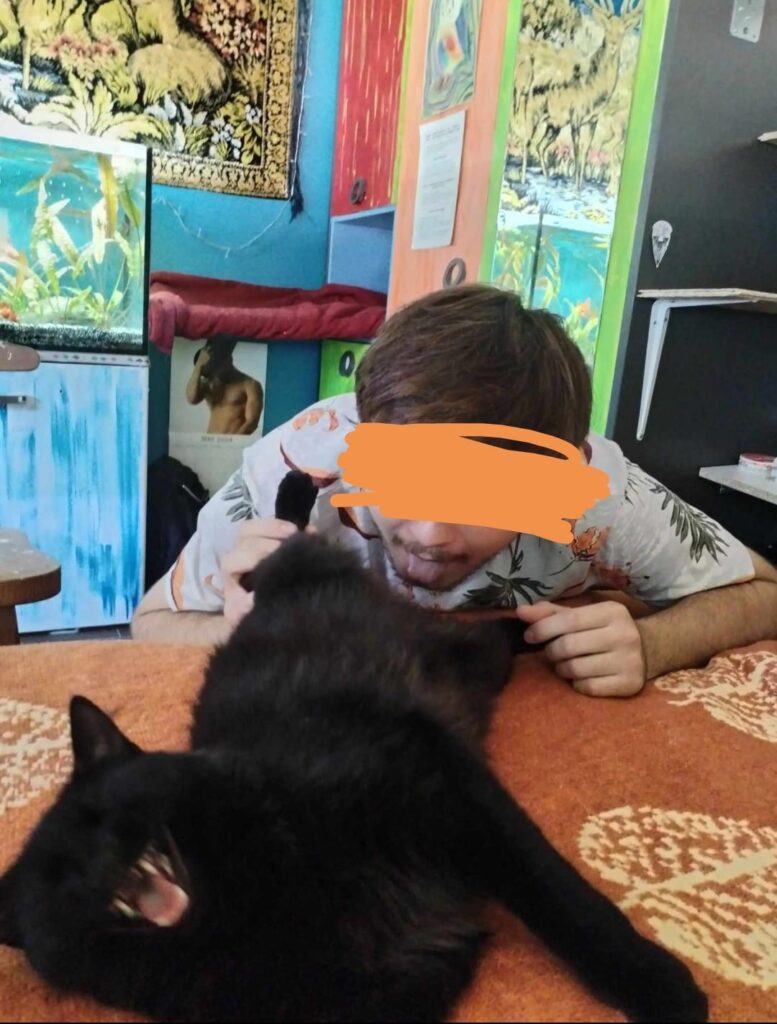 キャットボット 😏