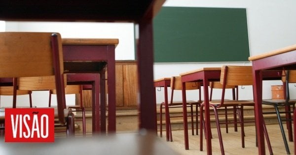 ビジョン |国内にはポルトガル語や数学の教師がいない地域もある