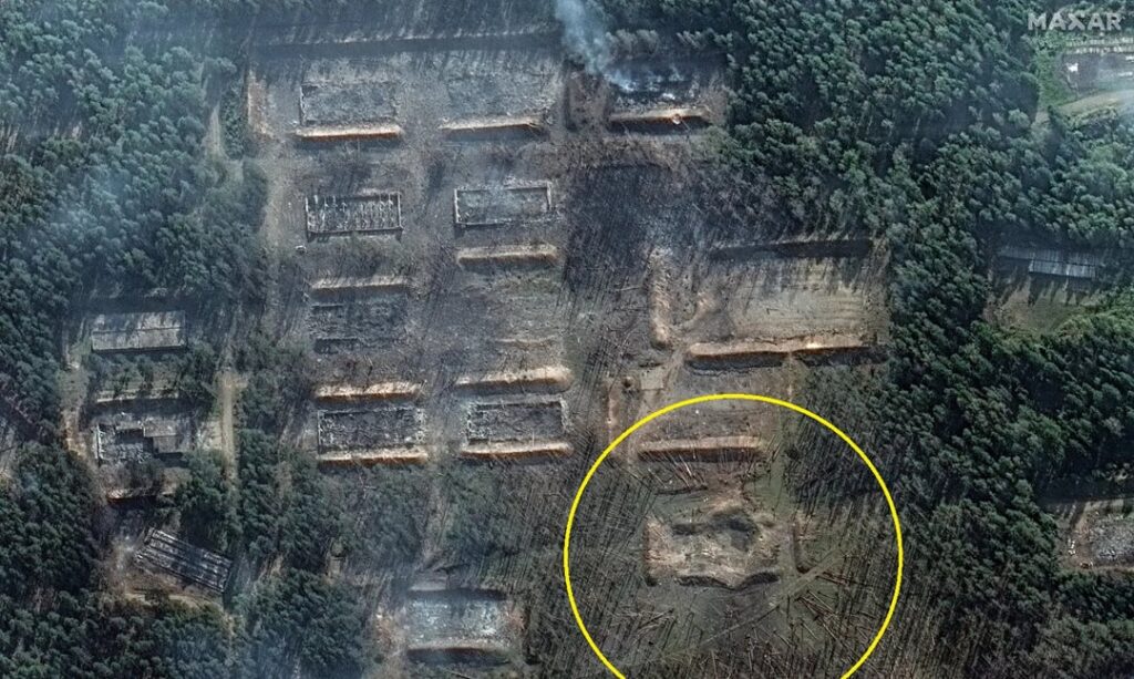 ツングースカ大爆発のように木が倒れています。大爆発によって木の幹が放射状に平らになっているのがわかります。