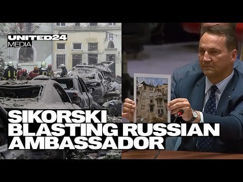 シコルスキー氏、国連安全保障理事会でロシア大使を解任