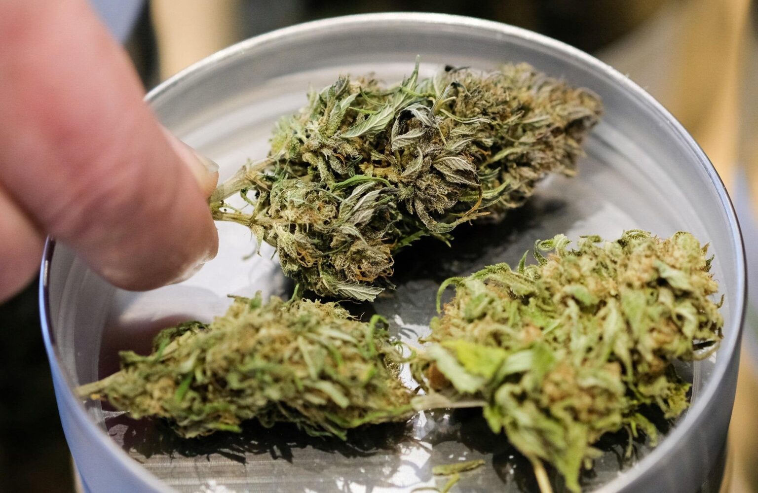 大麻、ラツィオTARがCBDに関する政令を一時停止