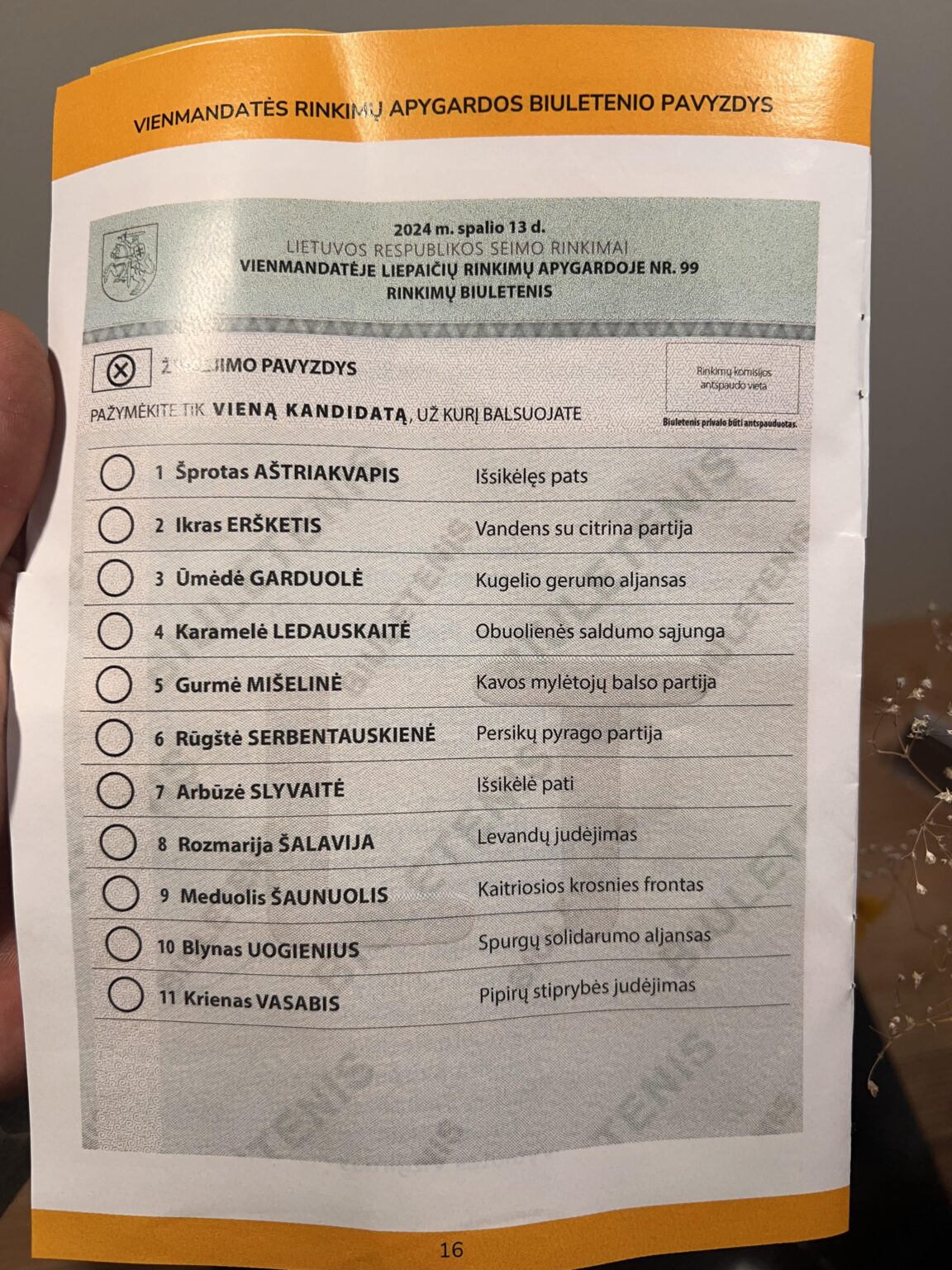セイマス選挙が近づいてきました。どの候補者に投票しますか?その理由は何ですか?
