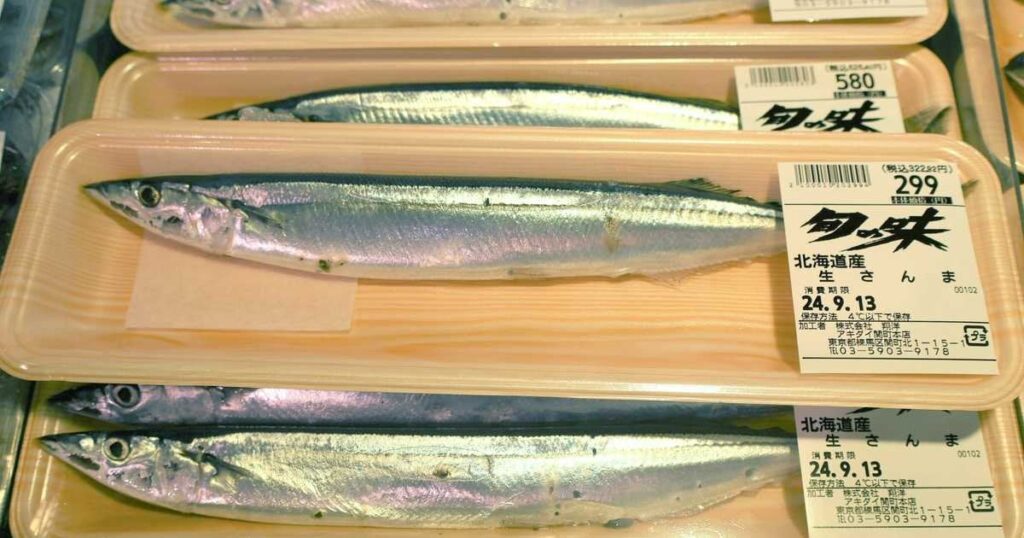 サンマが久しぶりの豊漁、値段落ち着くも「楽観できない」