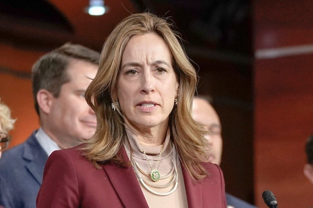 ニュージャージー州の民主党員が、暗殺未遂事件は共和党の「アサルトライフルの入手可能性」の言動に起因すると発言し、右翼を刺激した。