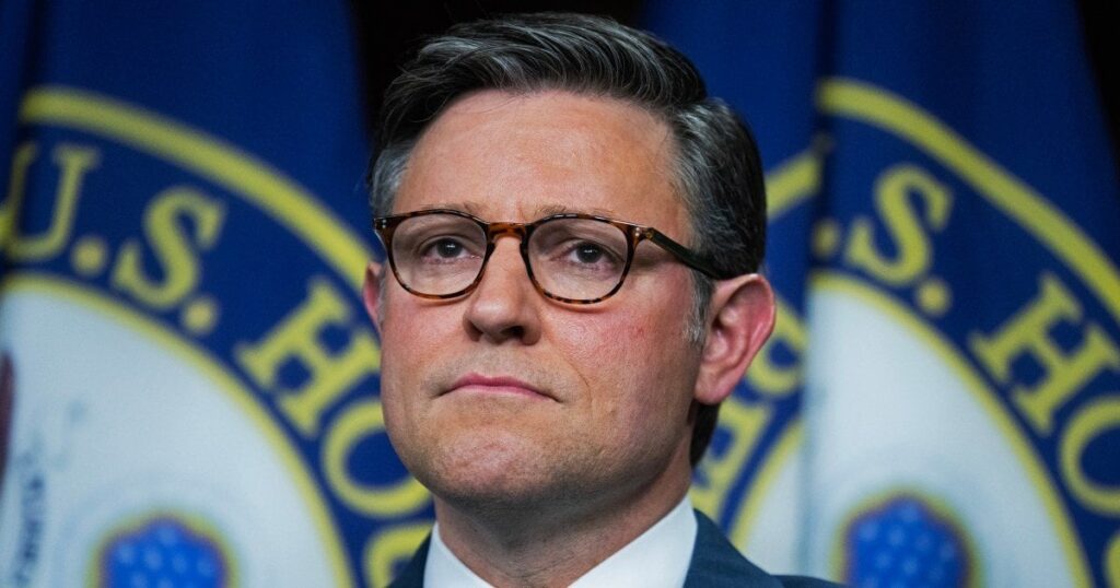 私は連邦選挙の監視を手伝っています。マイク・ジョンソンのコメントは私たちの民主主義を脅かしています。