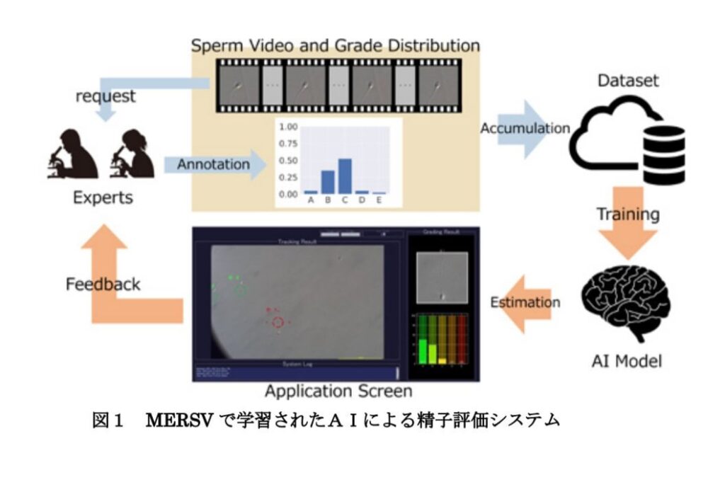 AIによる精子評価システム、横浜国立大学が開発