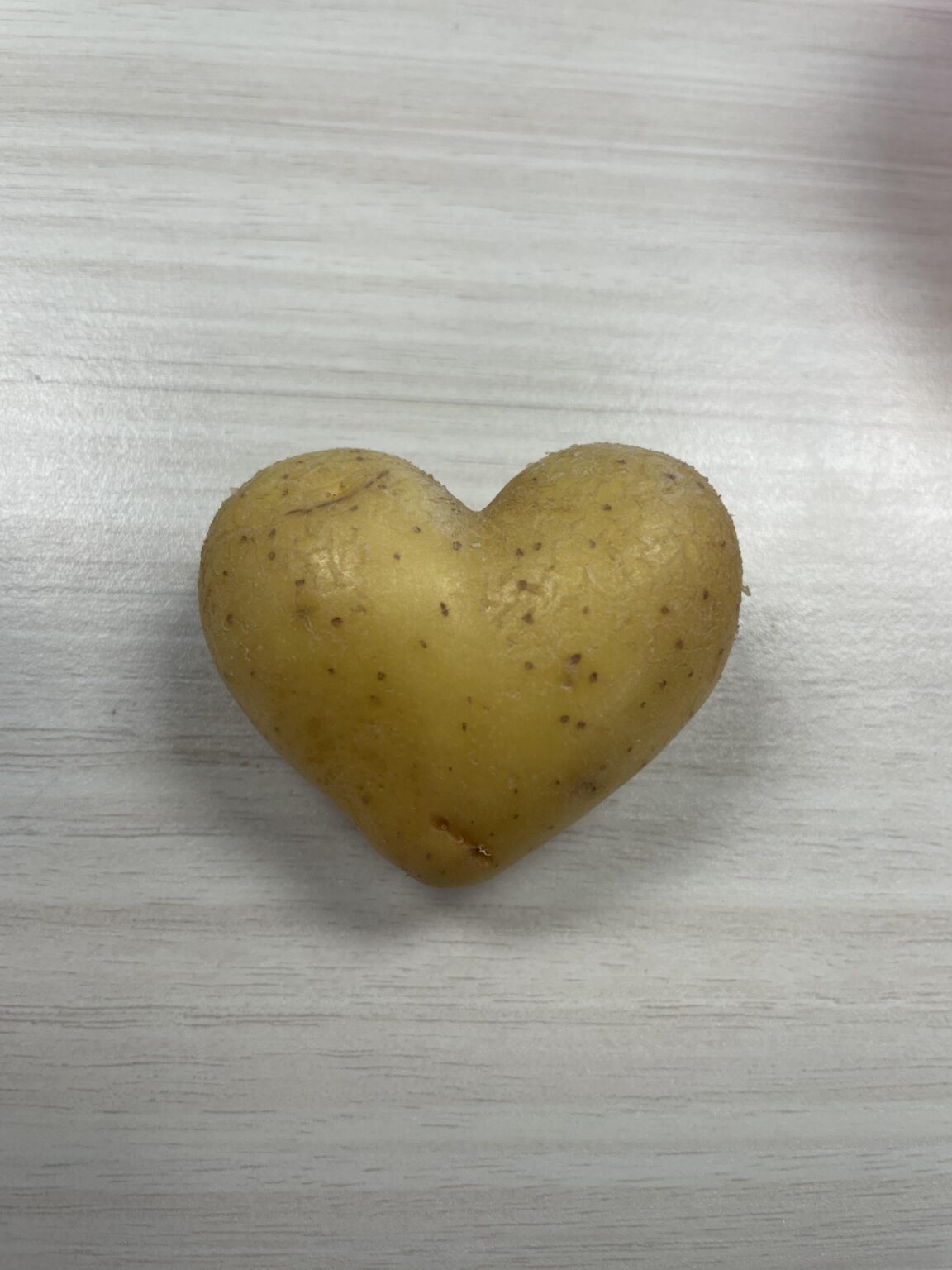 可愛いハート型のポテトを見つけました😭