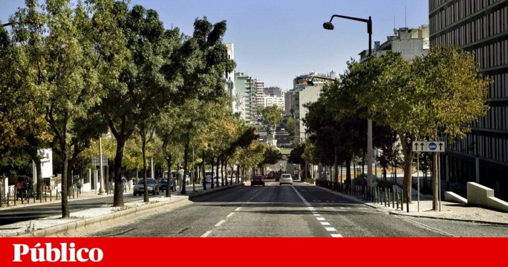 エントレカンポスで轢かれた後、住民はその地域の治安の悪さについて警告を受けていたことを思い出す