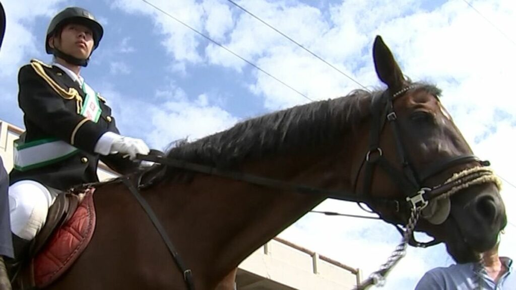 「颯爽と馬にまたがって登場」馬術部の高校生が馬の上から交通安全呼びかけ【香川】
