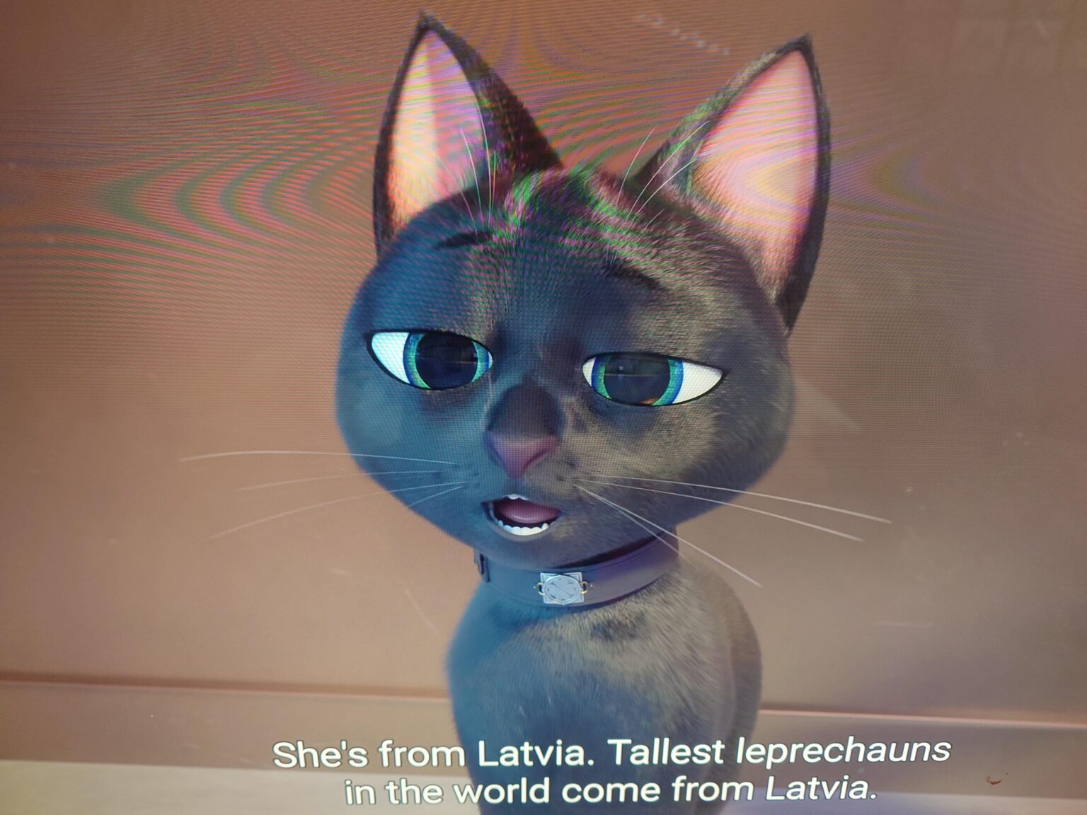 映画「ラック」より