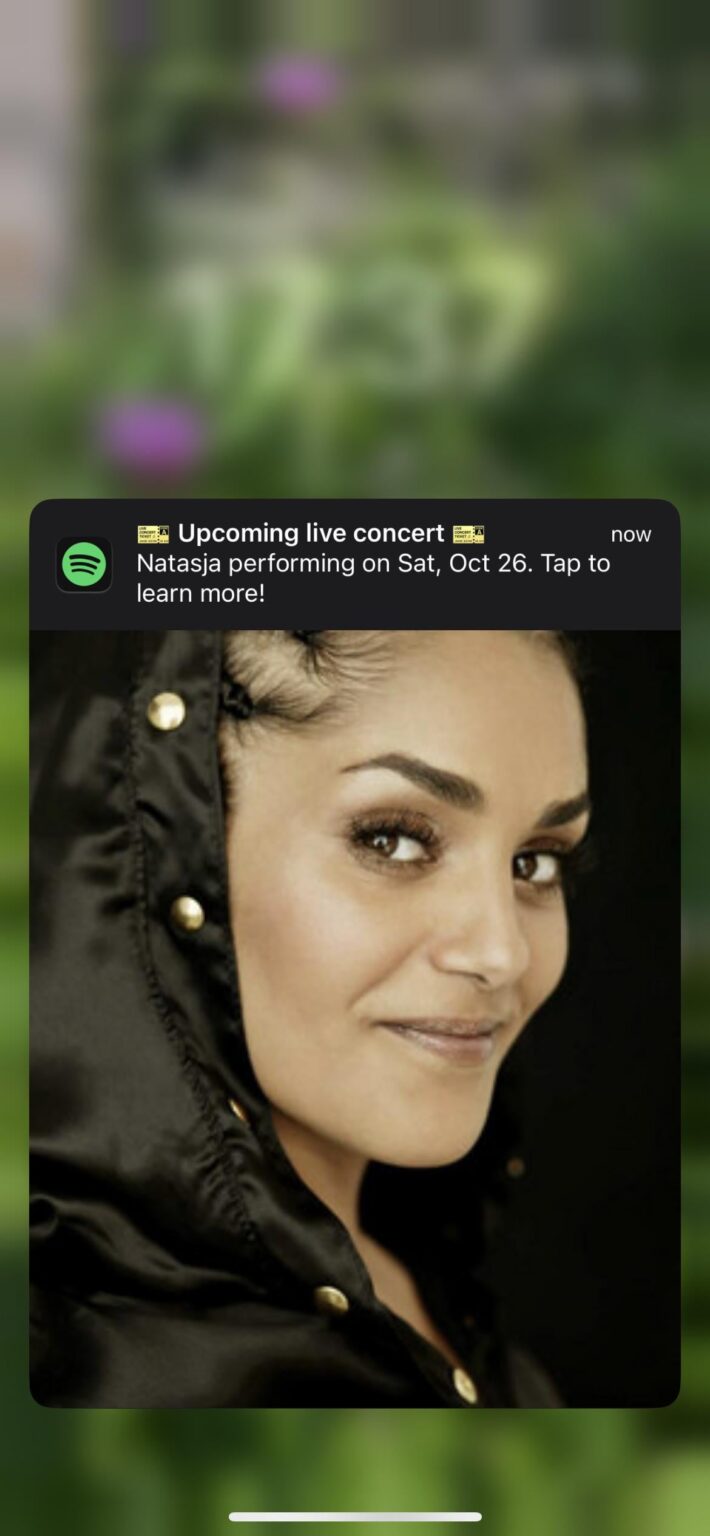Spotifyはちょっと蚊帳の外だと思う