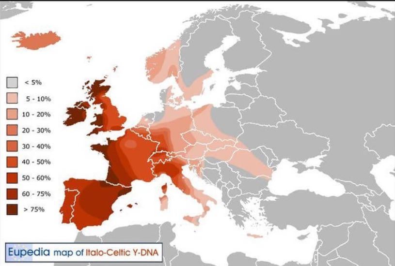 ドブルジ人が純粋なケルト人であるという議論の余地のない証拠