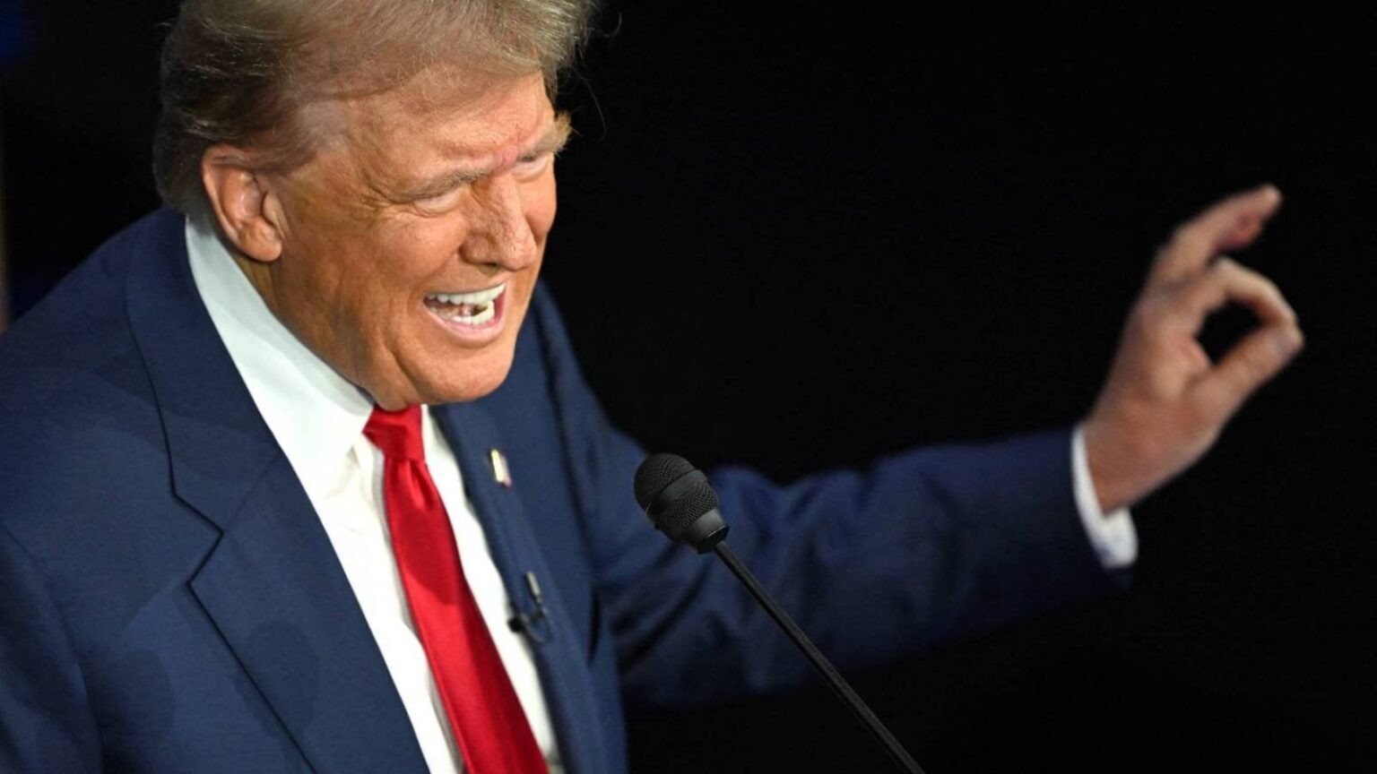 ハリス氏の攻撃を受け、トランプ氏は激怒、移民が猫を食べていると嘘をつく