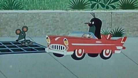 ウインカーは点灯させなければなりませんか？車に乗っているのは私です。