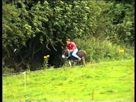 キャッスルタウン ドンキー ダービー 1994