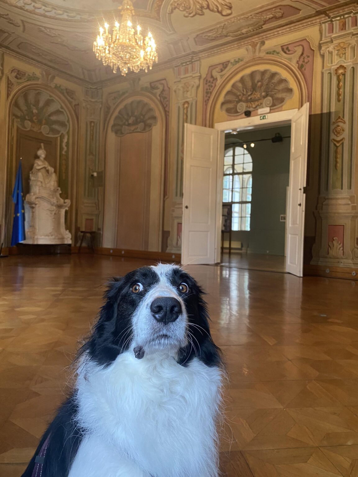 初めて美術館に来たときの娘の反応 😅