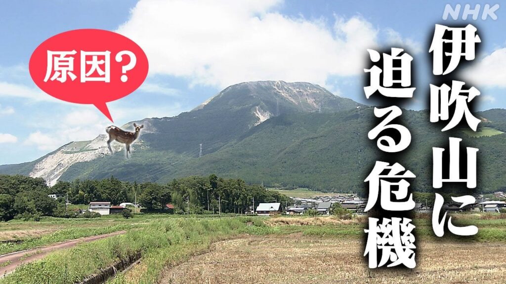 【答えはシカ】百名山の伊吹山で繰り返される土砂災害 その原因は…？