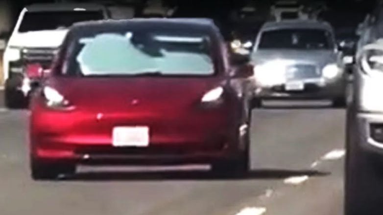 今年のバカ：日差しが気になってフロントガラスを覆い、車を「オートマチック」で放置した（ビデオ）