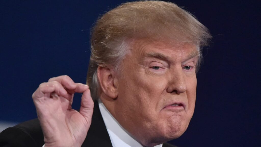 ドナルド・トランプ氏、募金活動でカマラ・ハリス氏について衝撃的な中傷を使用：レポート