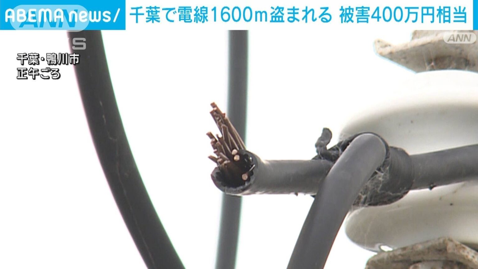 架線された電線すら盗まれる 1600mが切断…千葉・鴨川漁協職員が被害届