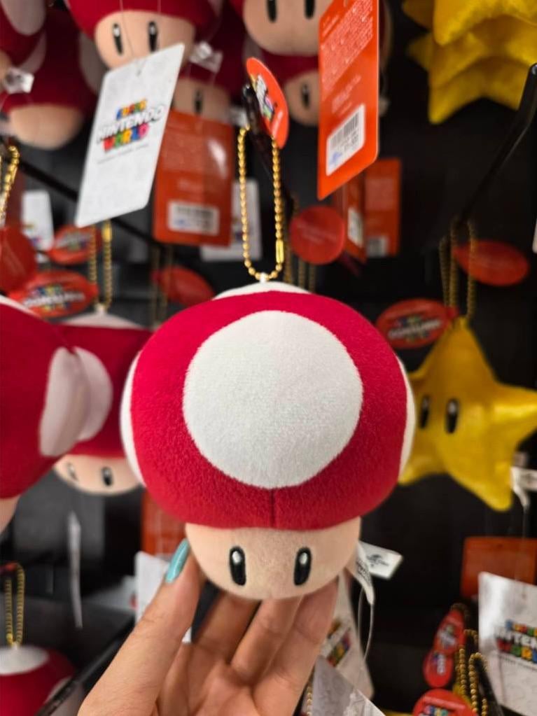 紛失したぬいぐるみキーホルダー