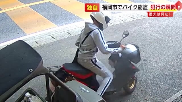 防犯カメラが捉えた“原付バイク窃盗” 番犬の前でバイクを押しながら逃走も…ガードレールに突っ込む 福岡市