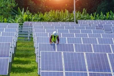 「清潔、緑、そしてアイルランド風」：国中で何百もの太陽光発電所が開発中であることが報告書で判明