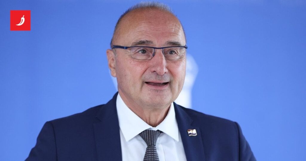 グルリッチ・ラドマン氏、ミラノビッチ氏の大統領としての能力に疑問