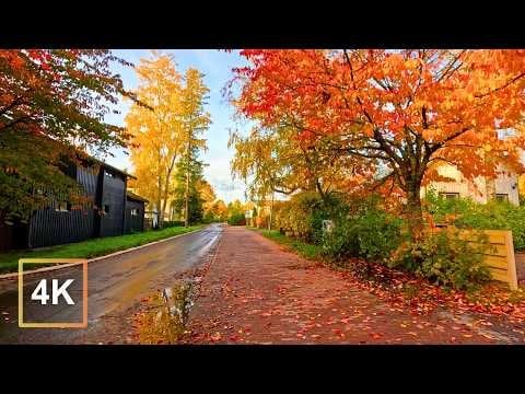 ヘルシンキの紅葉🍁