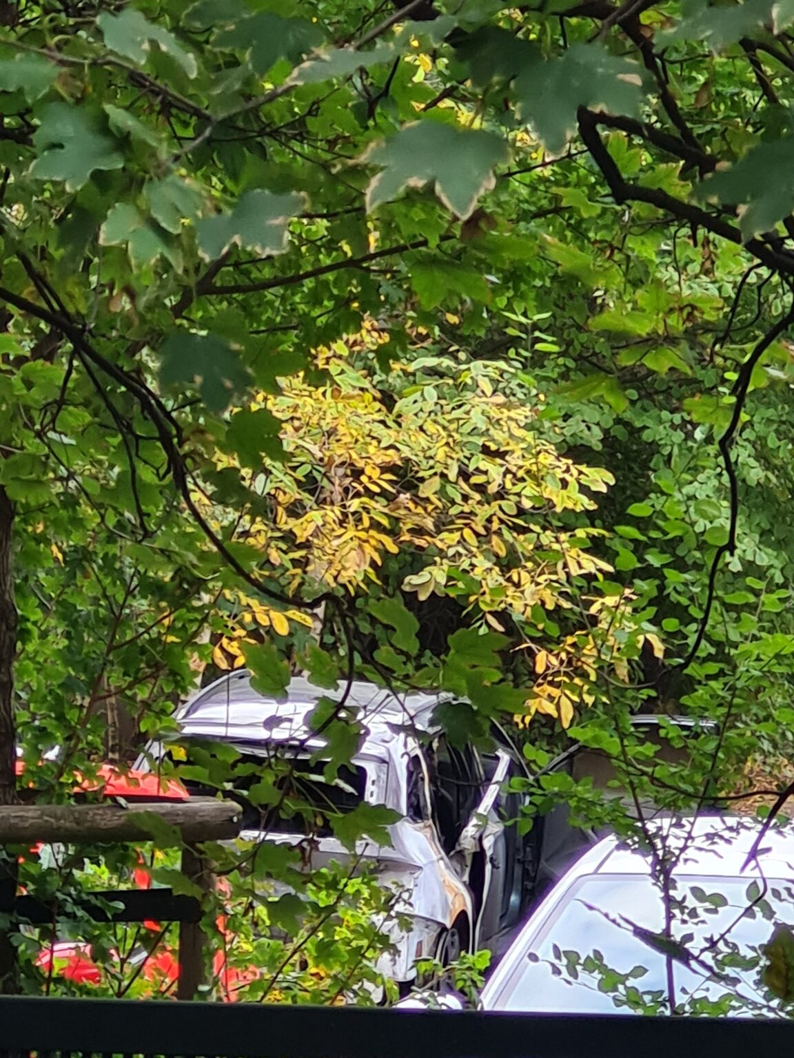 ヴロツワフ中心部で自動車爆発